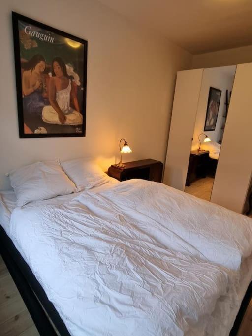 Paen Central Lejlighed Med Gratis Parkering Randers Dış mekan fotoğraf
