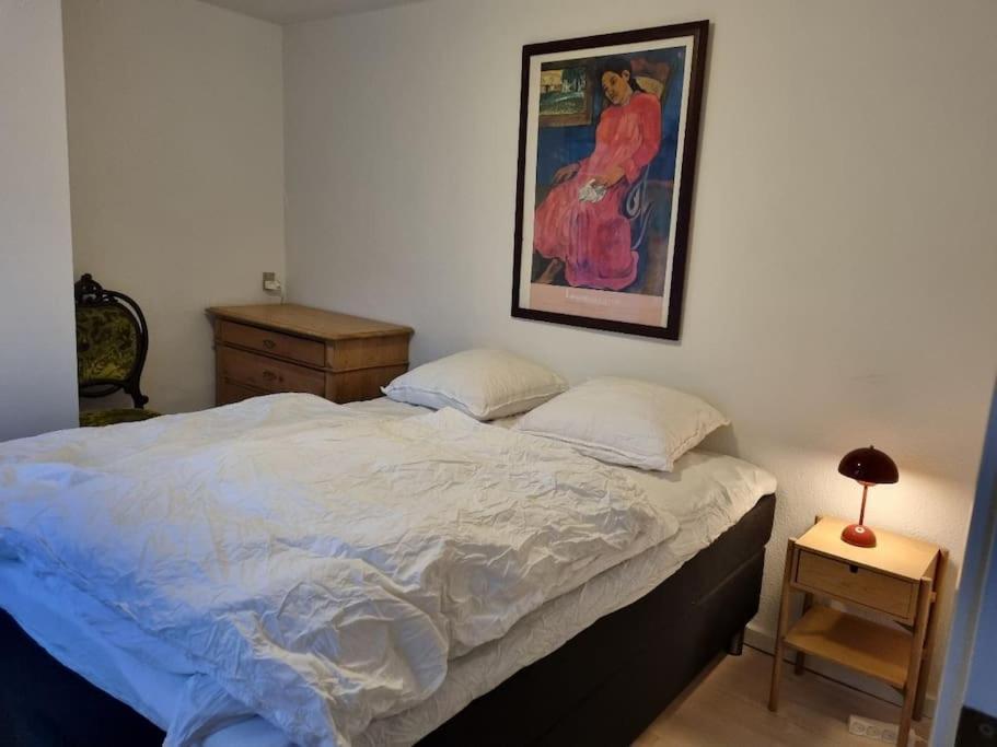 Paen Central Lejlighed Med Gratis Parkering Randers Dış mekan fotoğraf